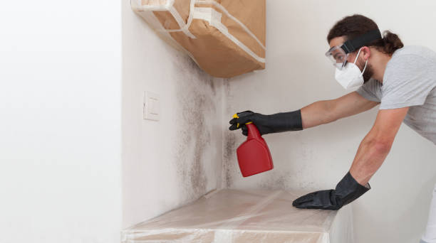 Professional Crawl Space Mold Remediation technician working in Perryville, MD