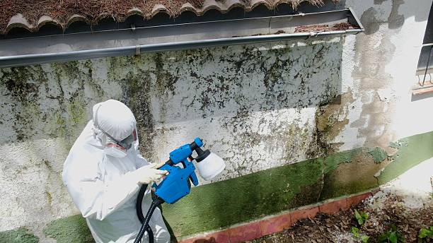 Top rated local Crawl Space Mold Remediation specialists in Perryville, MD